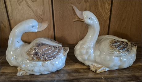Porcelain Ducks