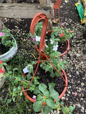 Lot of 2 Round 10" Plastic Hanging Pots Filled With Assorted Potted Annuals