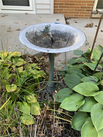 Metal Bird Bath