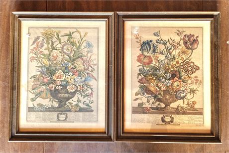 Framed Prints