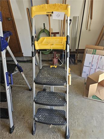 Cosco 3ft Painting Ladder