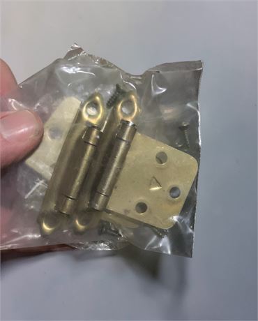 Heavy-Duty Metal Hinge Lot (Various Types) (1 Box)