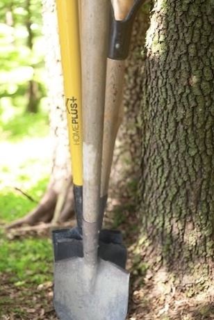 Home Plus Shovel Plus 2 Wood Handled Shovels