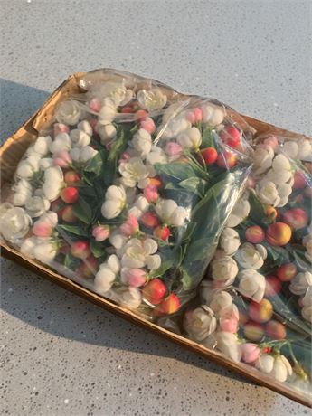 Large Heritage Crab Apple Fruit/Flower Pick Bundles - 10 Boxes Total