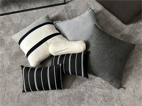 Pottery Barn down throw Pillows