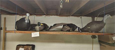 Mixed Turkey Decoy Lot
