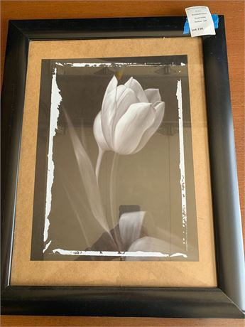 Tulip Pose Black Framed Flower Wall Art - 23.5 X 18.5