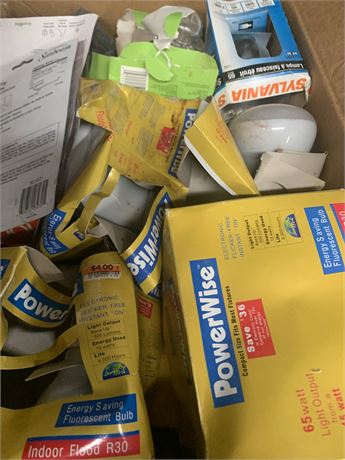 Light Bulb Lot - Power Wise, Sylvania & More