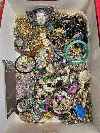 Mixed Costume Jewelry: Necklaces / Rings / Earrings & More