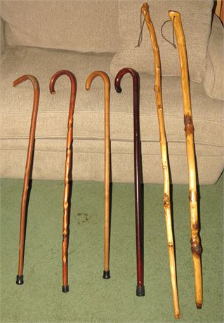 Canes, Walking Sticks