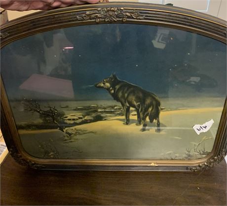 Lone Wolf Framed Print by Alfred Wierusz Kowalski 1930's