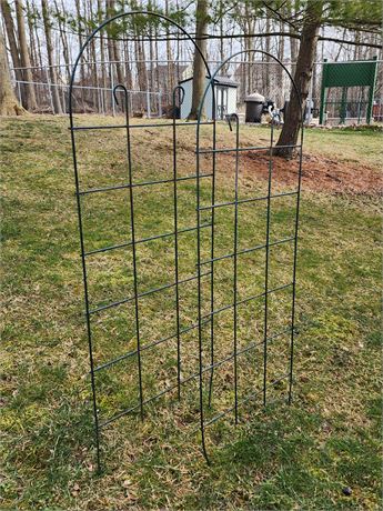 2- Solid Metal, Green Trellis