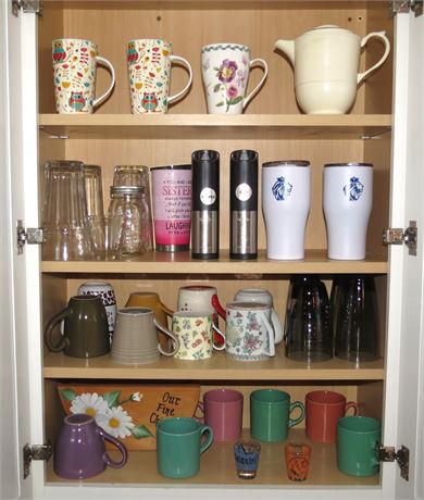 Kitchen Cabinet Cleanout