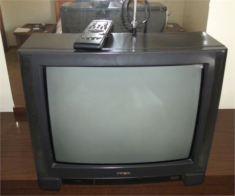 Panasonic Prism 20" TV