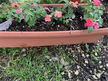 23" x 8" Plastic Flower Box Filled With Assorted Potted Annuals
