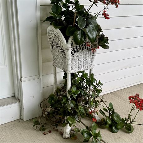 Early Wicker Plant Stand with Basket and Bottom Tier (Plants Not Included)