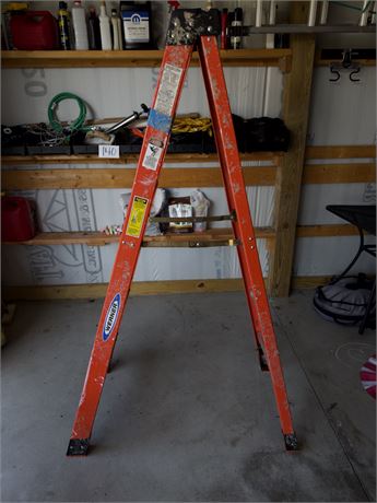 6ft Werner Ladder