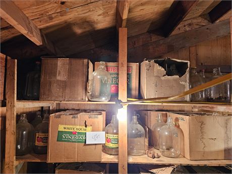 Large Lot of Vintage Glass 1 Gal Bottles