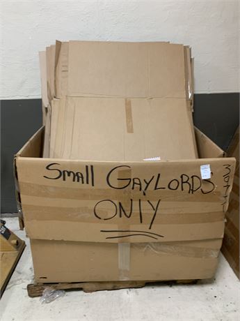 Box of Small Cardboard Gaylords