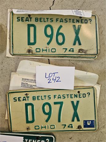 Vintage 1974 Consecutive Numbers License Plates