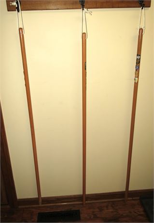 Walking Sticks