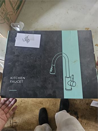 Forious Brush Nickel Kitchen Faucet Item#FF0023C