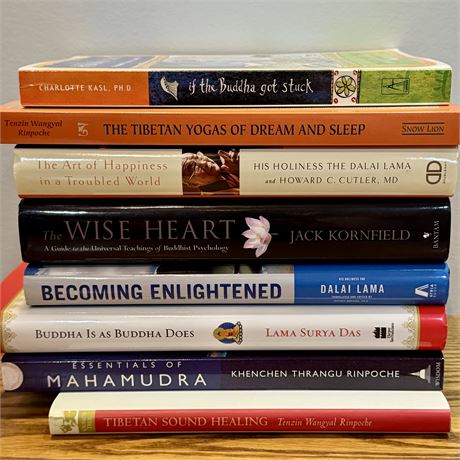 Buddha, Enlightenment, Dalai Lama Related Books Lot
