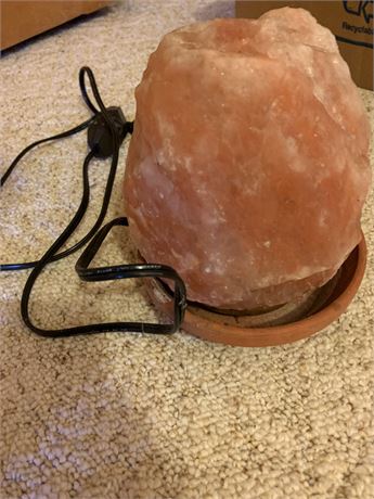 Electric Pink Himalayan Salt Lava Lamp