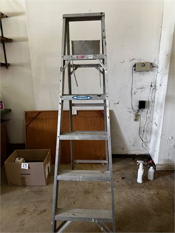 6ft Metal Werner Ladder