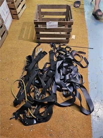Tree Straps / Safety Straps
