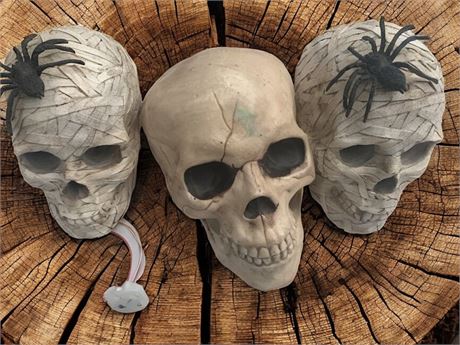 Birch Bark Skulls With Black Spider Accent & Vintage Plastic Halloween Skull