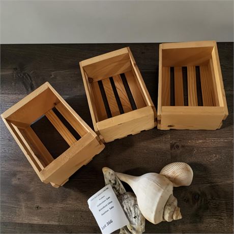 Unfinished Pine Wooden Storage Crates & Channeled Whelk, Oyster & Cockle Shells