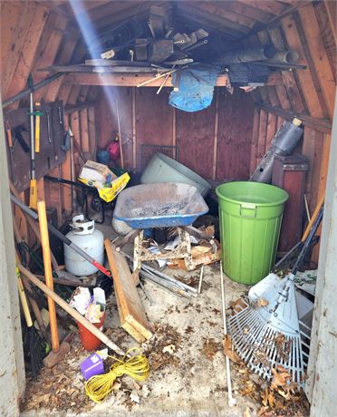 Shed Cleanout