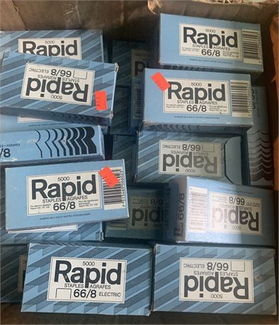Case of Rapid 66/8 Staples (5000 Staples Per Box)