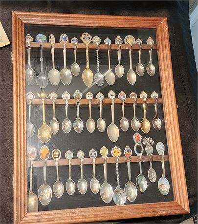 Vintage Spoon Collection in Wooden/Glass Box Lot 1