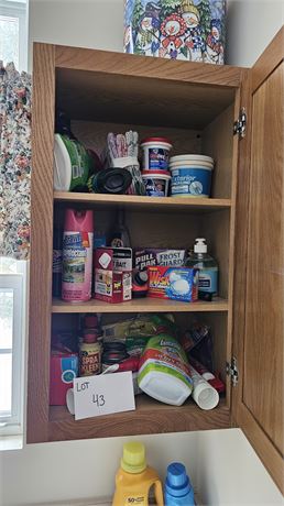 Laundry Room Cleanout- Chemicals, Cleaners, Lightbulbs, Vases & More