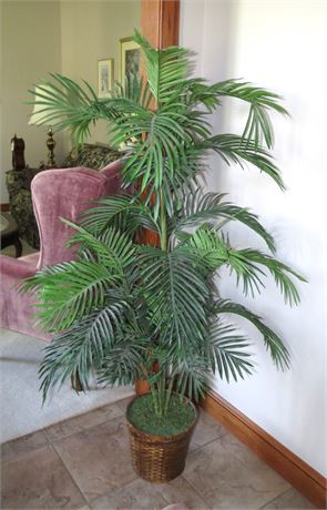 Artificial Plant