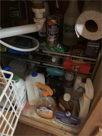 Under Kitchen Sink Cleanout - Cleaning Supplies