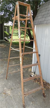 Werner 8' Wood Step Ladder