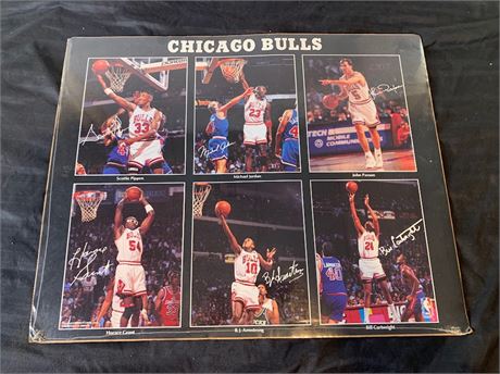 Chicago Bulls NBA Basketball Poster Six Photos Jordan Pippin Grant SEALED
