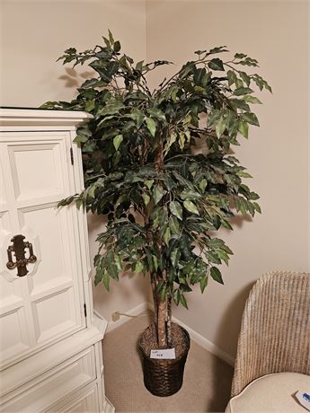 Faux Ficus Tree