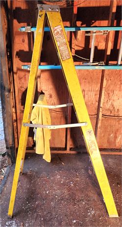 Davidson 6' Step Ladder