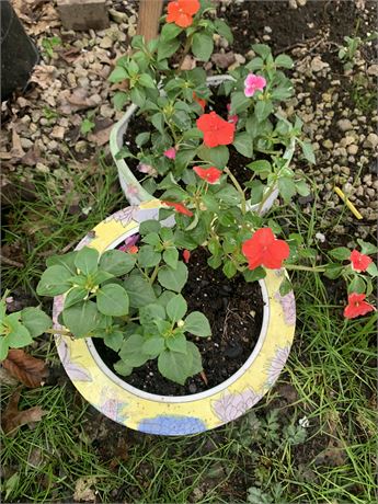 Lot of 2 Round Ceramic Pots Filled With Assorted Potted Annuals
