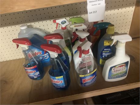 Household Cleaner Chemical Cleanout Lot