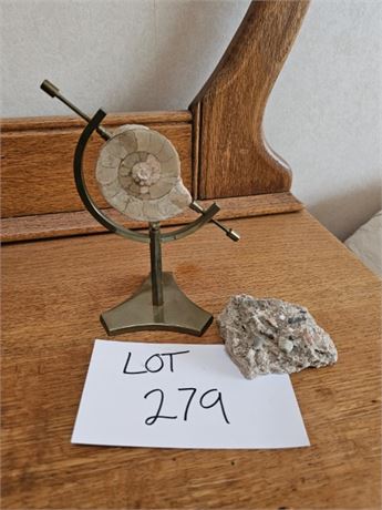 Ammonite Fossil Mounted & More