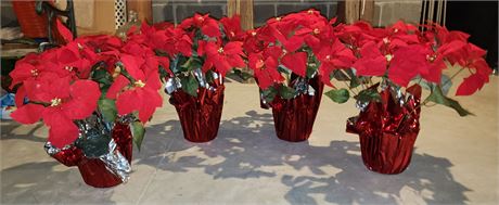 Artificial Poinsettias