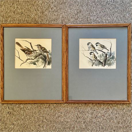 Albert Parella (1909-1999) SIGNED Finch Bird Paintings