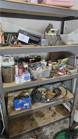 Shelf Cleanout: Hand Tools, Hardware, Paint, Chemicals & Much More