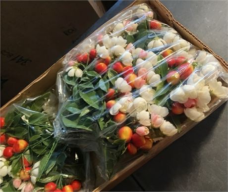 Large Heritage Crab Apple Fruit/Flower Pick Bundles - 10 Boxes Total