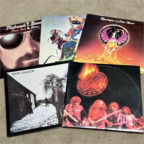 Rock n Roll Vinyl Records Lot